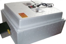 Инкубатор Несушка на 63 яйца N34 аналог. терморегулятор